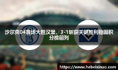 沙尔克04客场大胜汉堡，3-1斩获关键胜利稳固积分榜前列