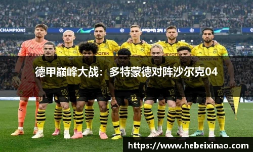 德甲巅峰大战：多特蒙德对阵沙尔克04
