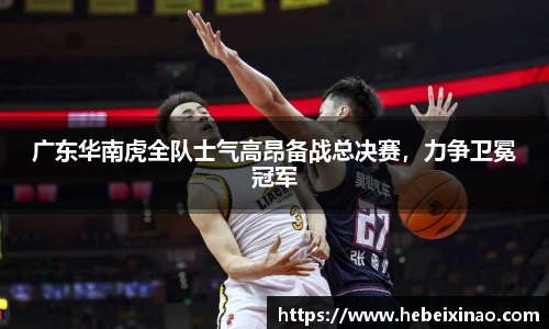 南宫NG·28体育
