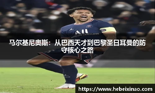 南宫NG·28